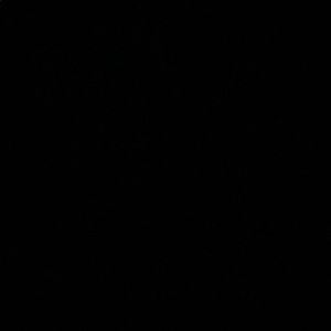 Meet your Posher, Fatima